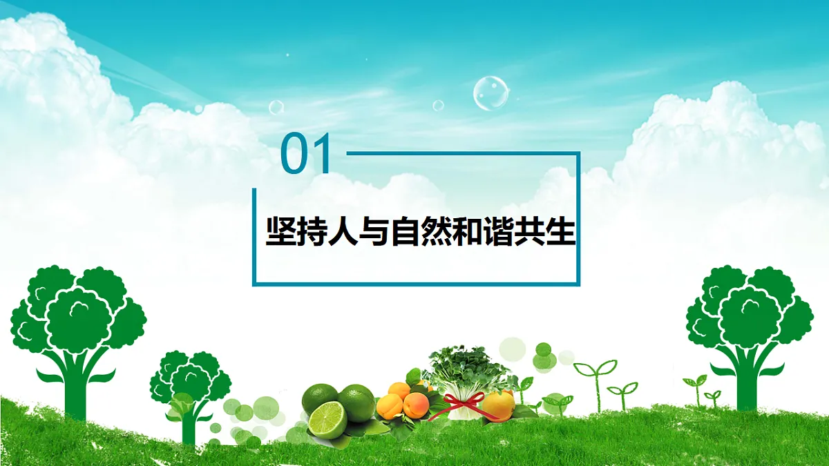 17337403第5页