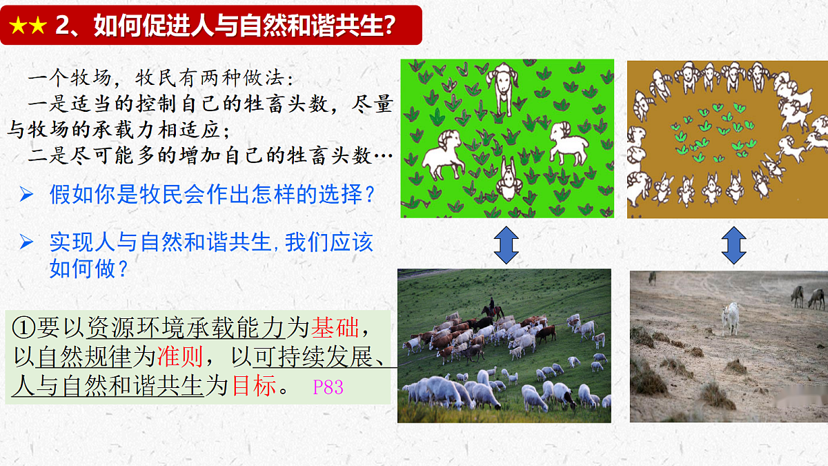 17337404第8页