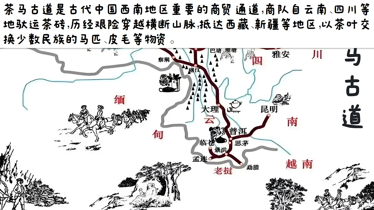 17337408第6页