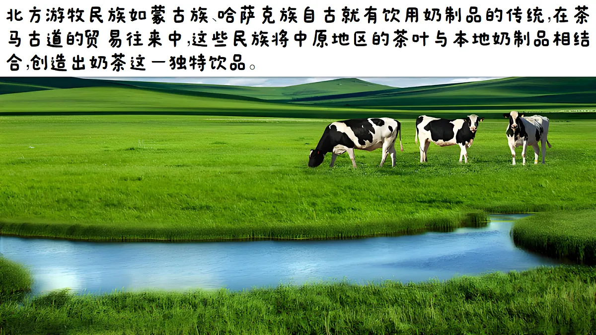 17337408第7页