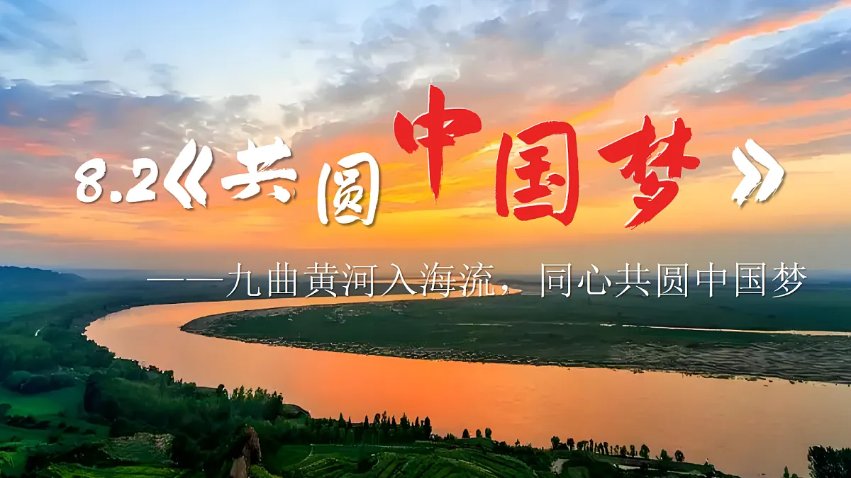 17337415第3页