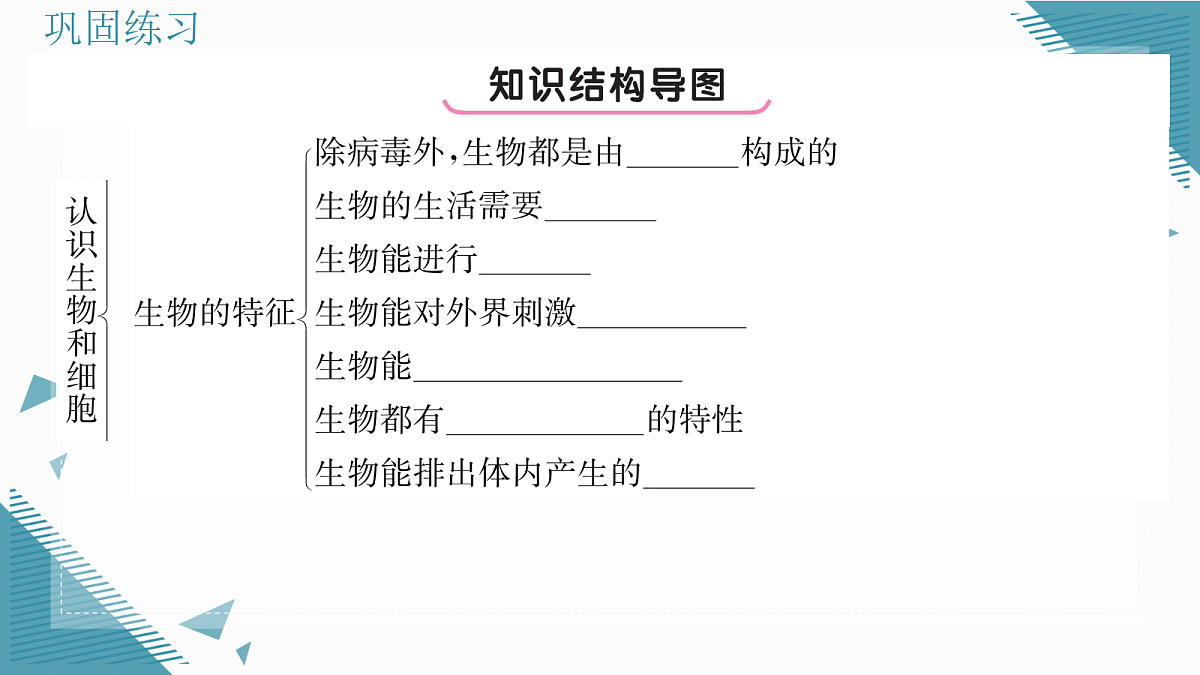 17337520第2页