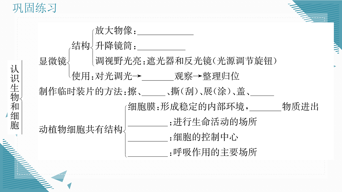 17337520第3页