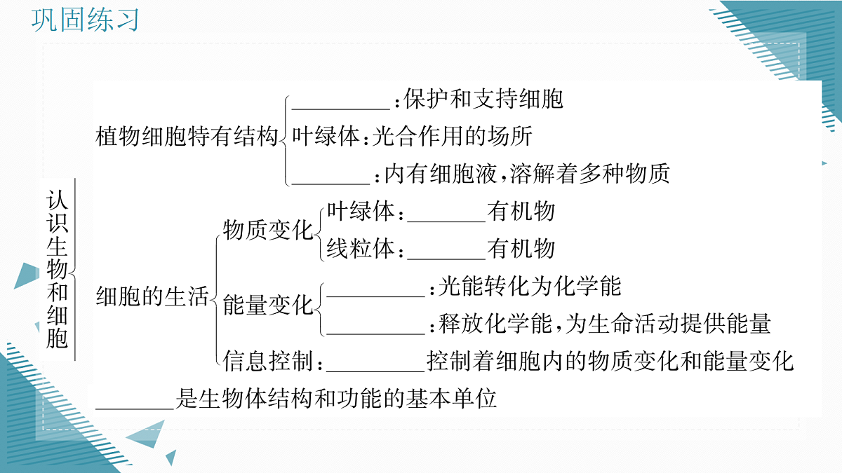 17337520第4页