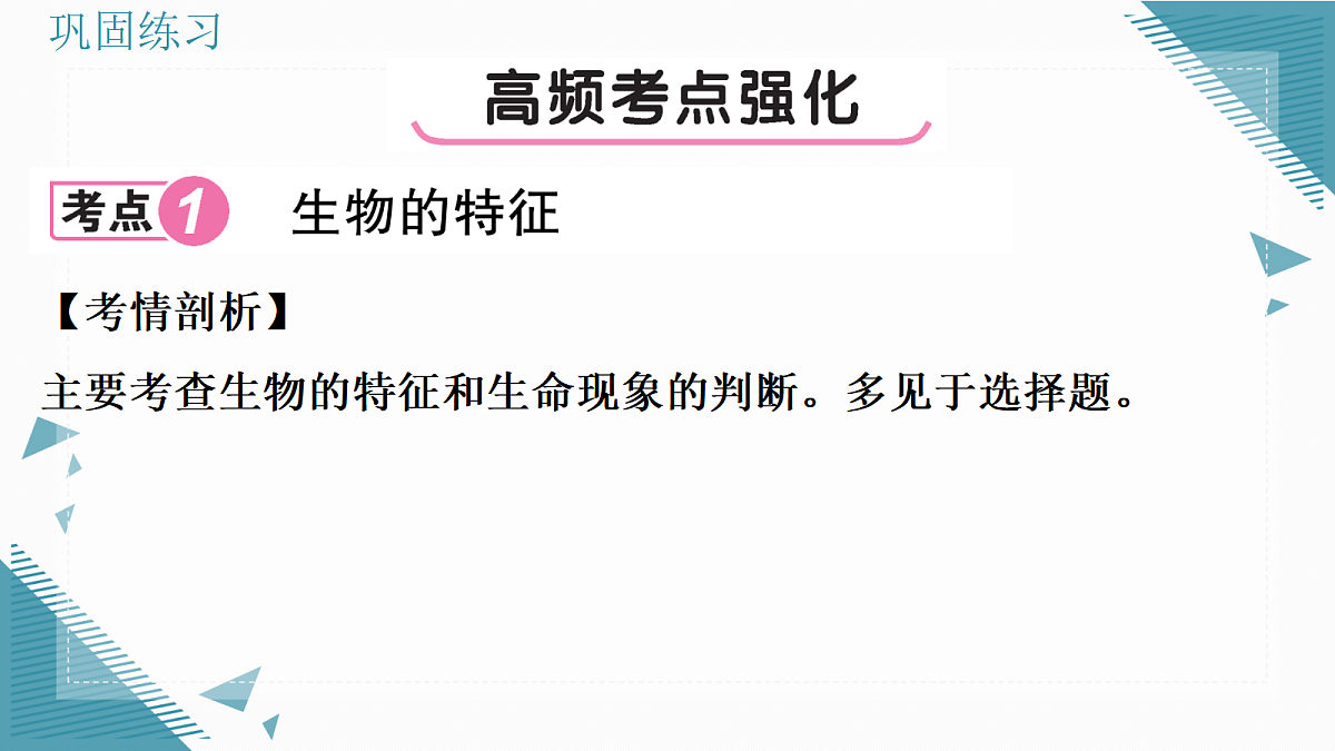 17337520第5页