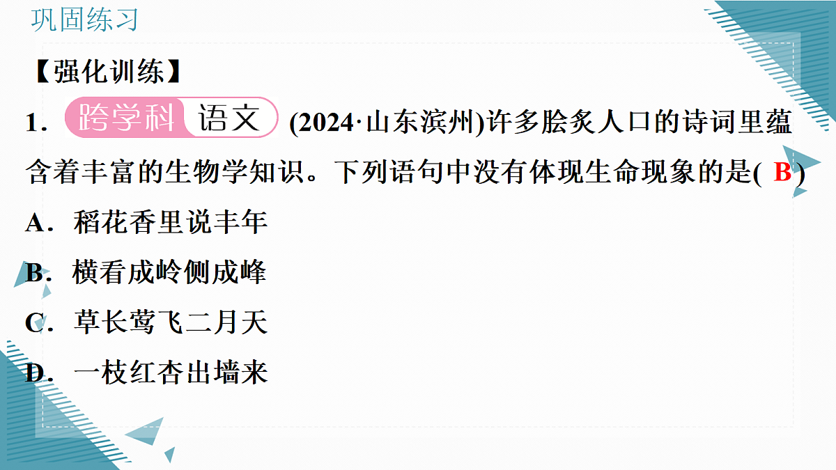 17337520第6页