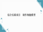 2025年人教版（2024）初中生物七年级上册第一单元第三章综合实践项目习题课课件（含答案）