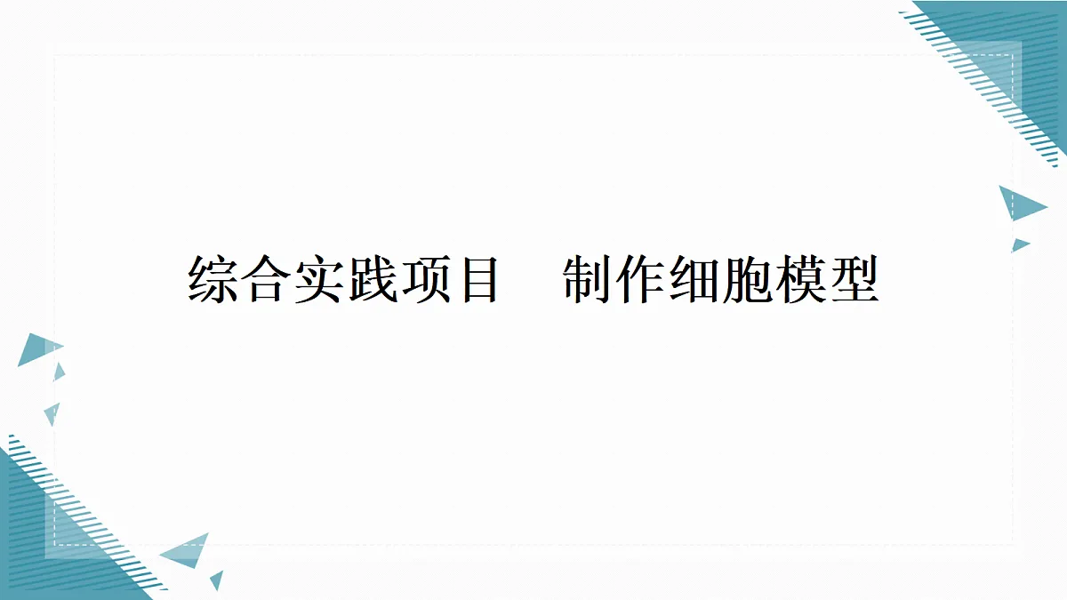 17337521第1页