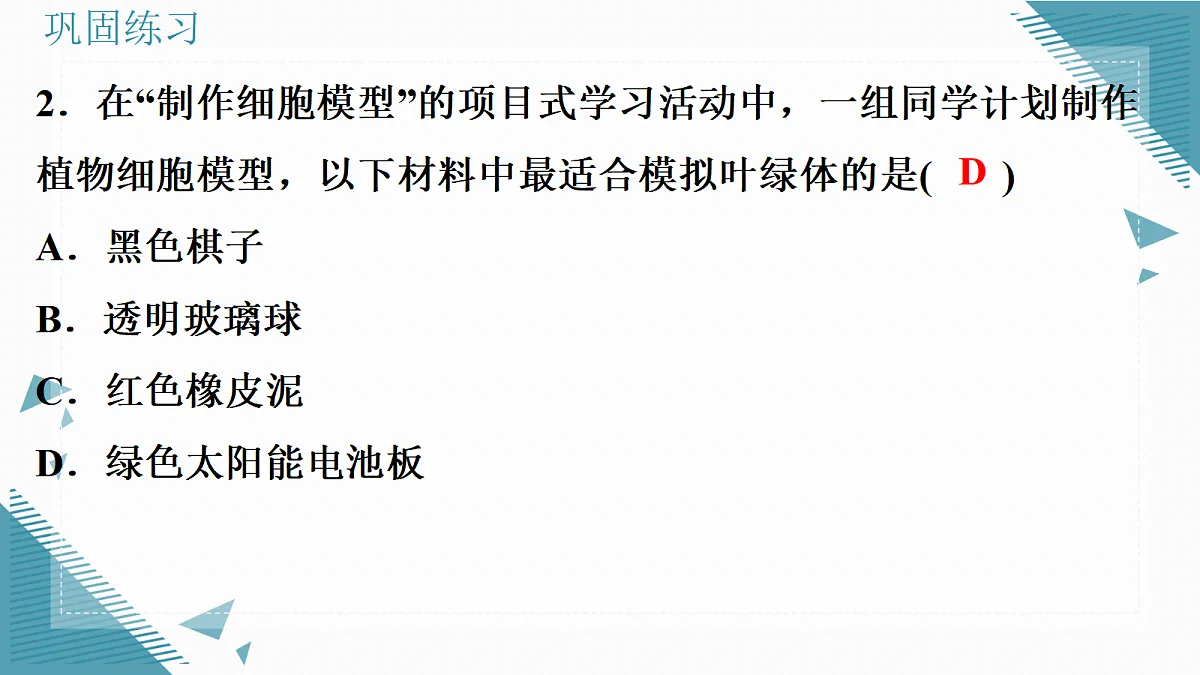 17337521第3页