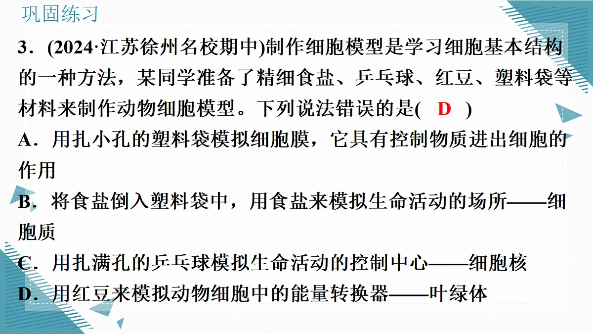 17337521第4页