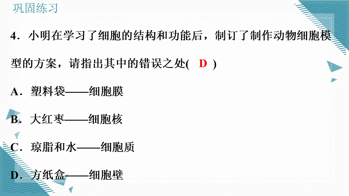 17337521第5页