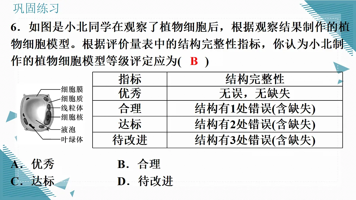 17337521第7页