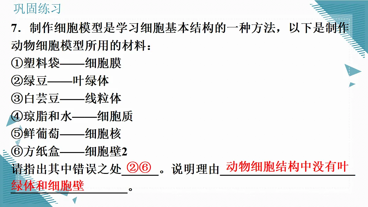 17337521第8页