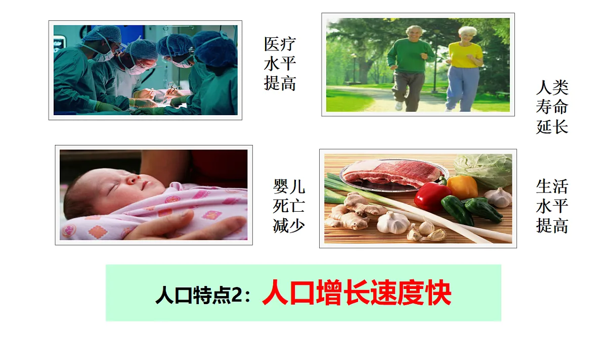 17337686第6页