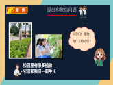 教科版小学科学一年级上册 1.2《观察植物》课件