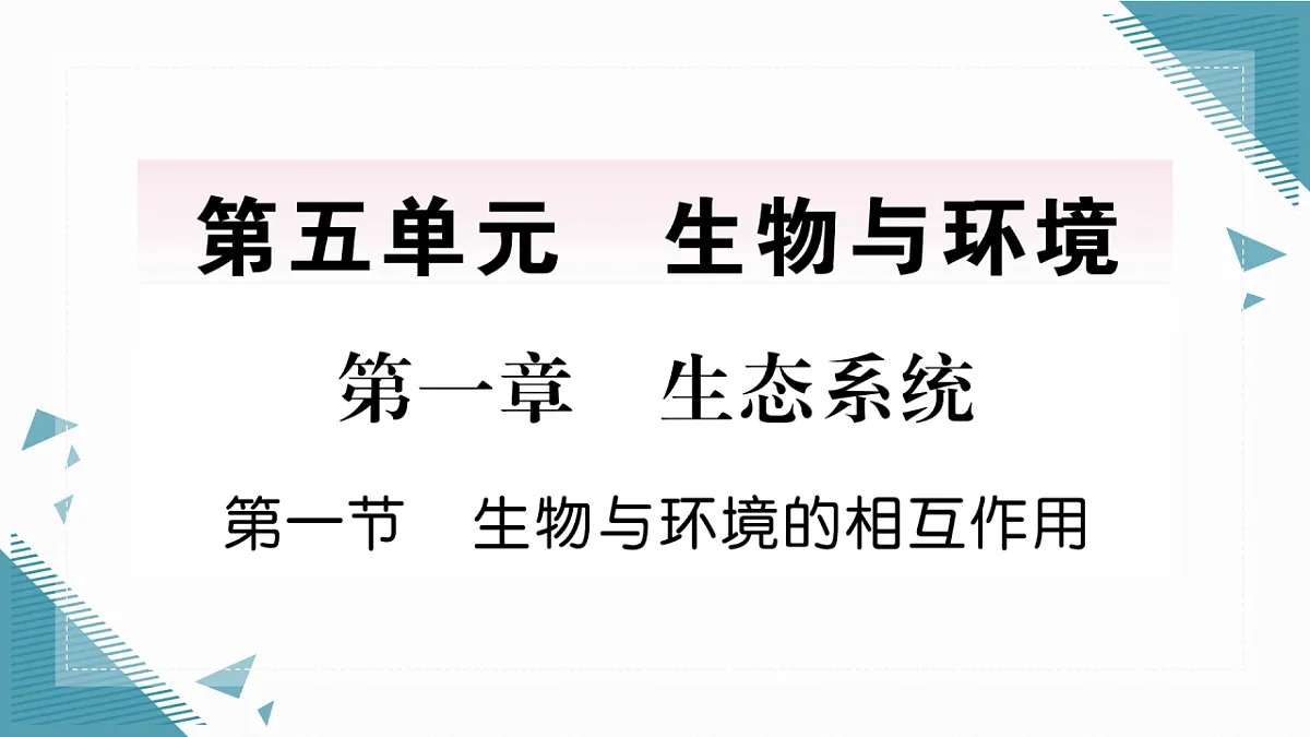 17337756第1页