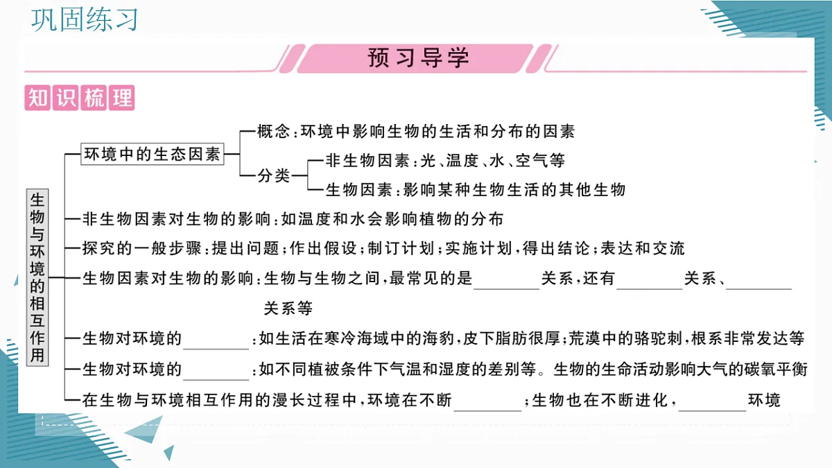 17337756第2页