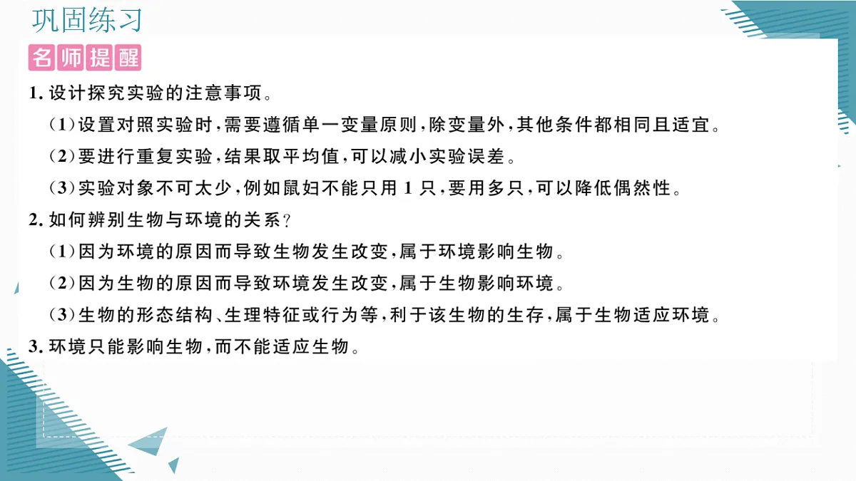 17337756第3页