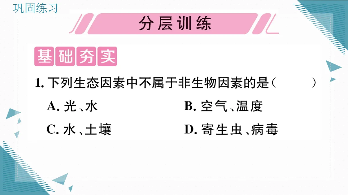 17337756第4页