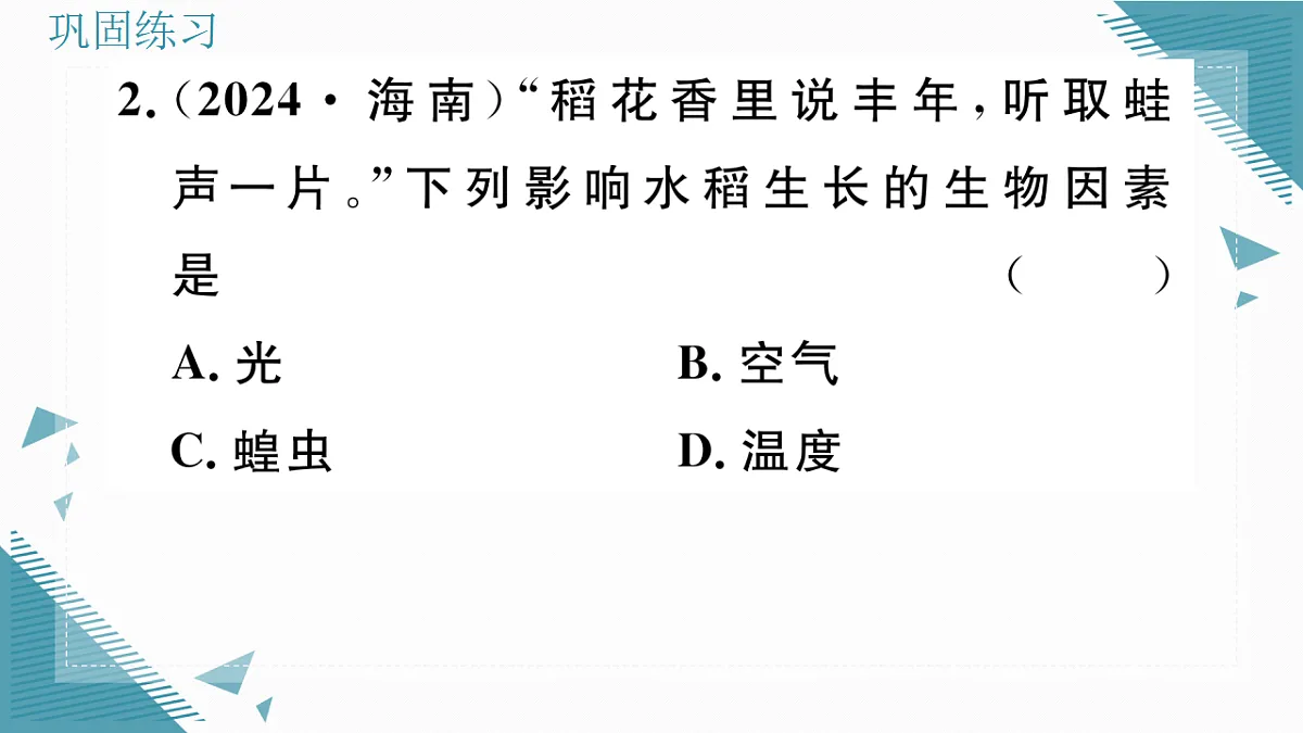 17337756第5页