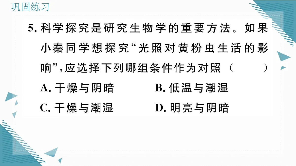 17337756第8页