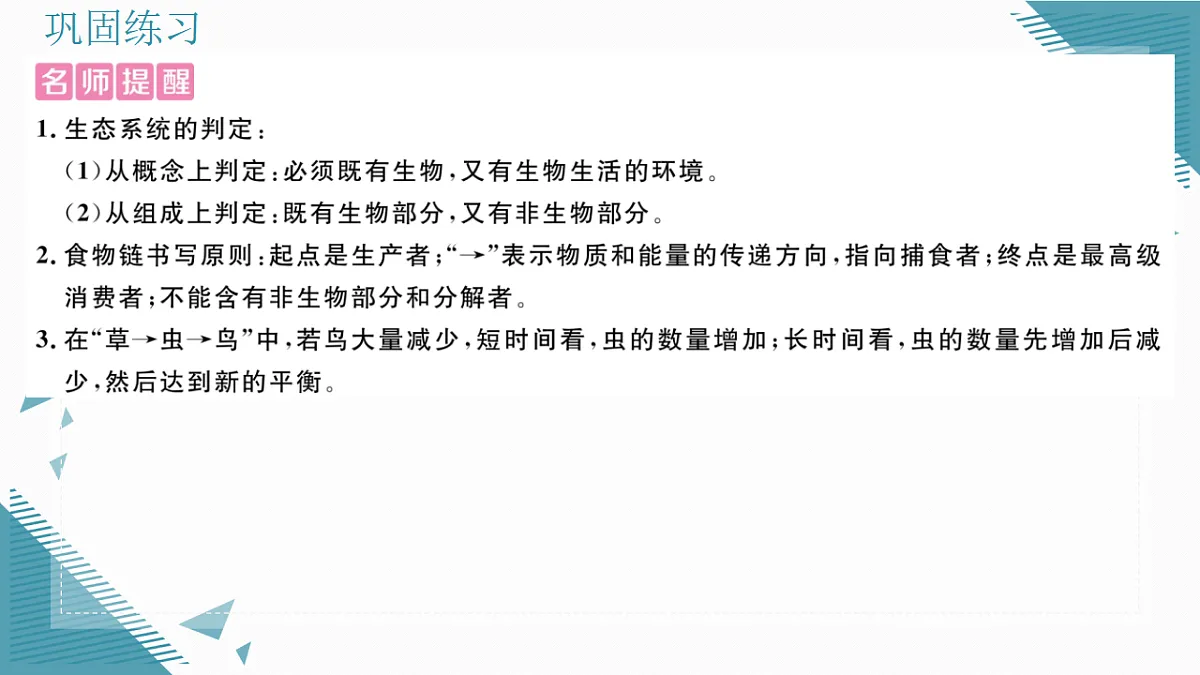 17337757第3页