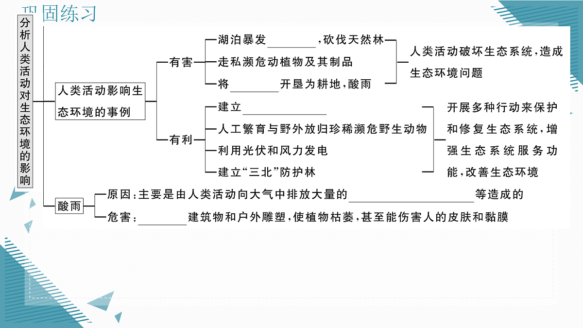 17337758第3页