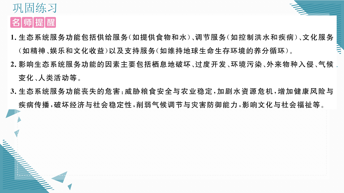 17337758第4页