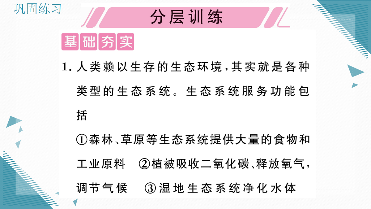17337758第5页