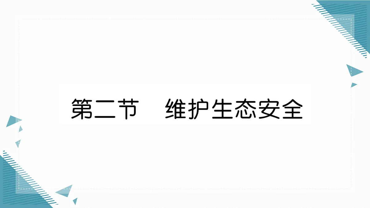 17337759第1页