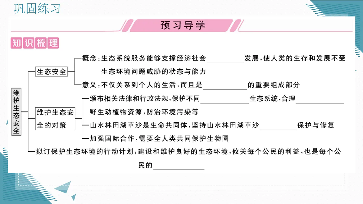 17337759第2页