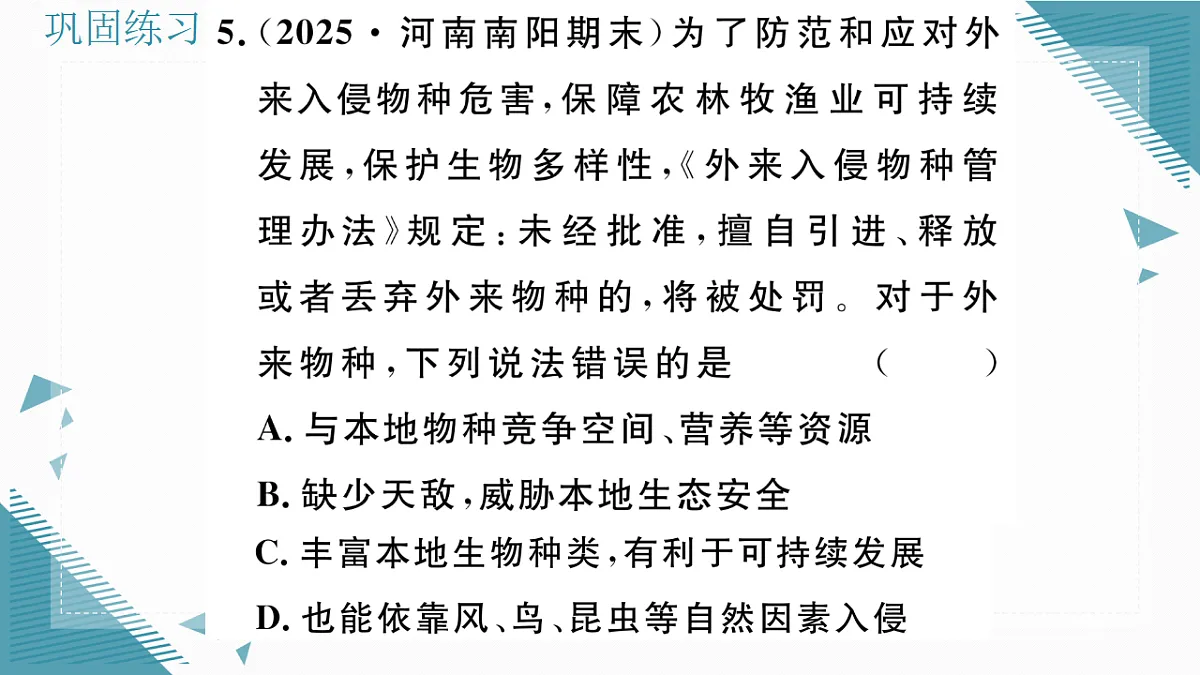 17337759第8页