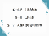 2025年人教版（2024）初中生物七年级上册第一单元第一章第一节观察周边环境中的生物习题课课件（含答案）