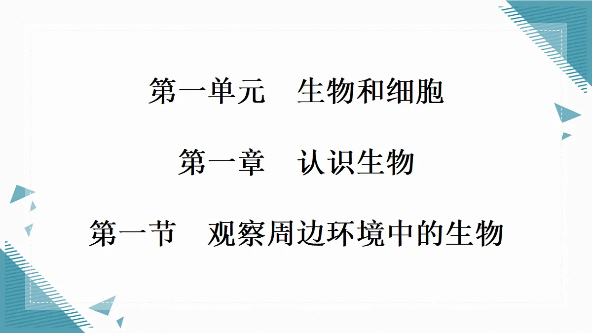 17337760第1页