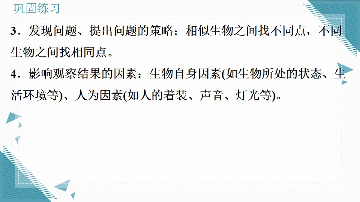 17337760第3页
