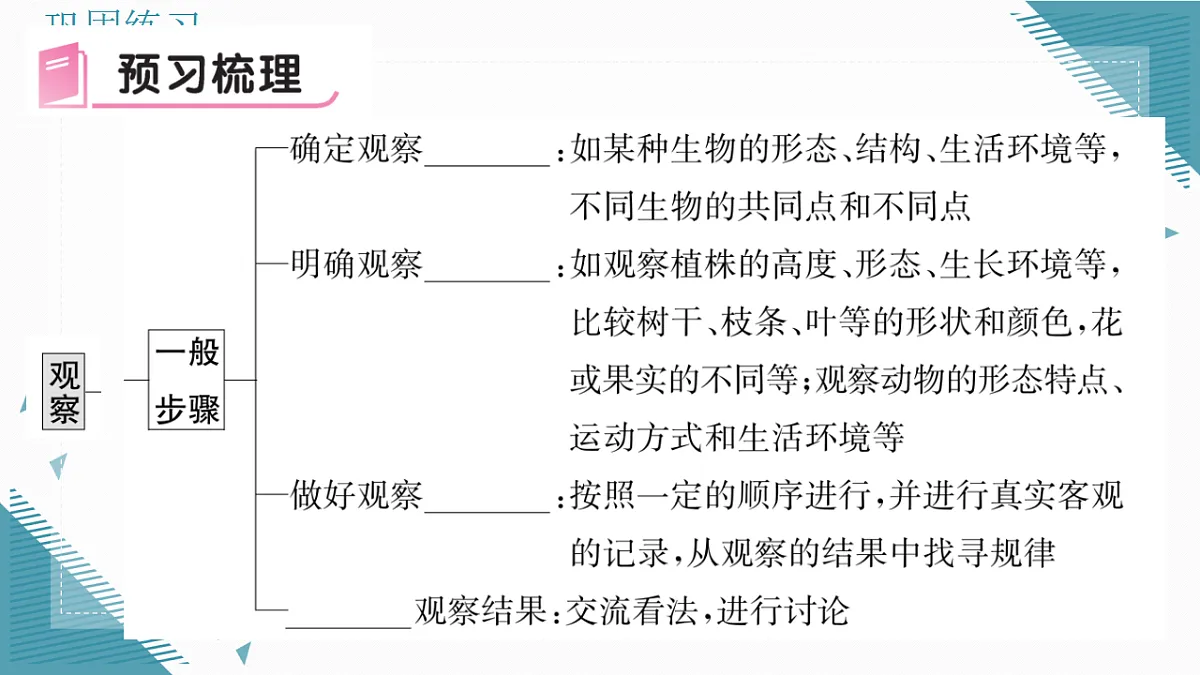 17337760第5页