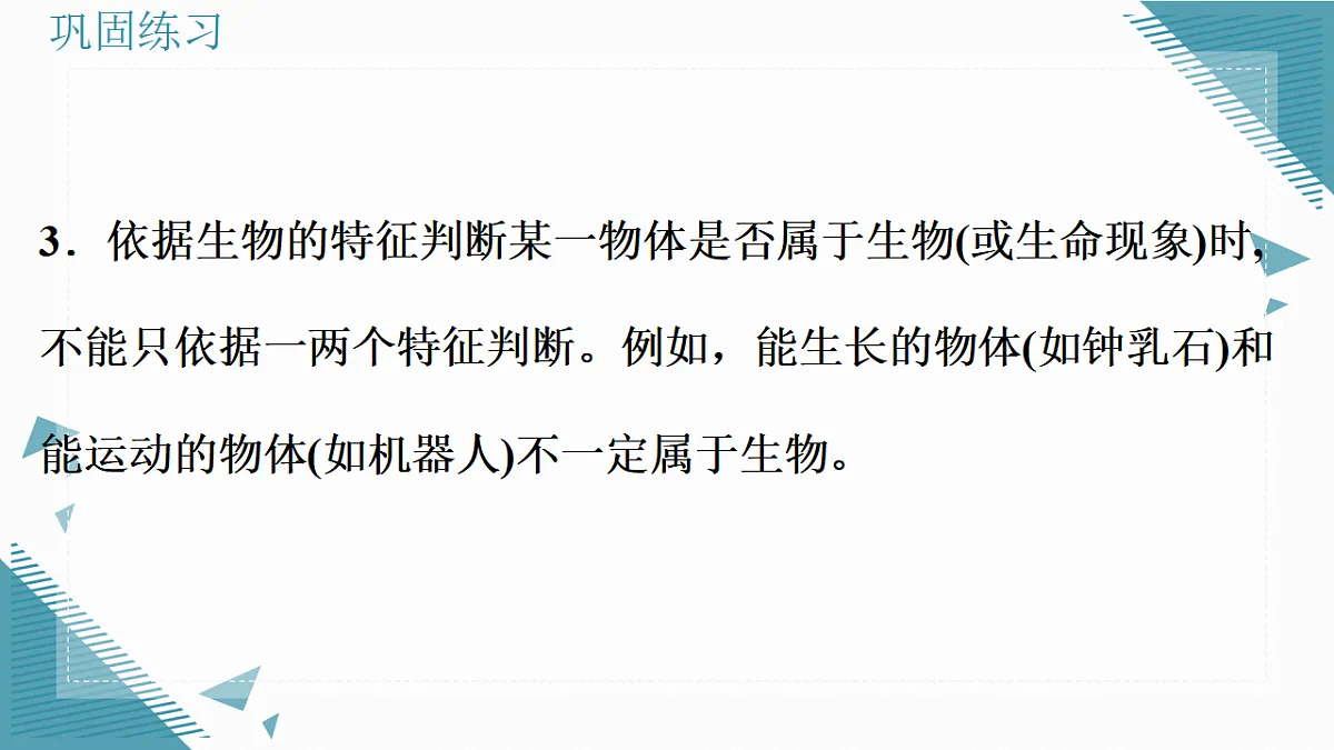 17337761第3页