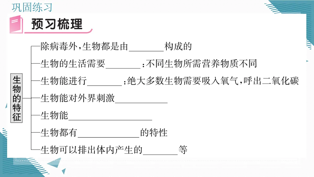 17337761第5页