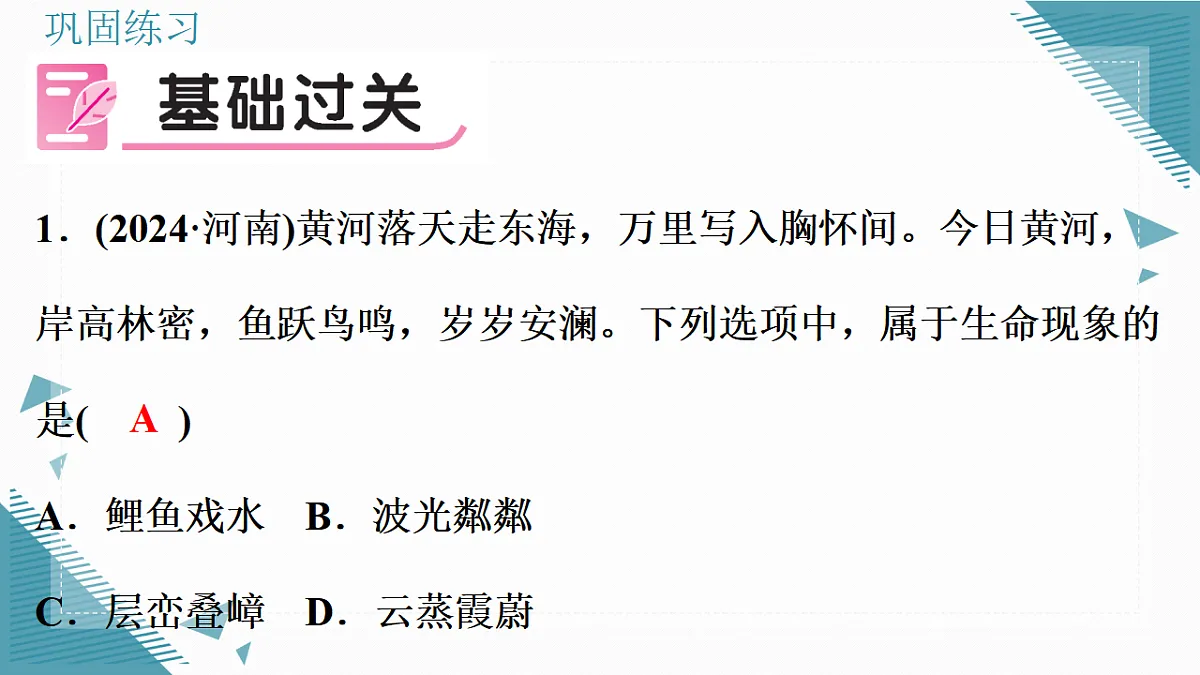 17337761第6页
