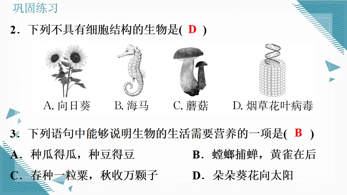 17337761第7页