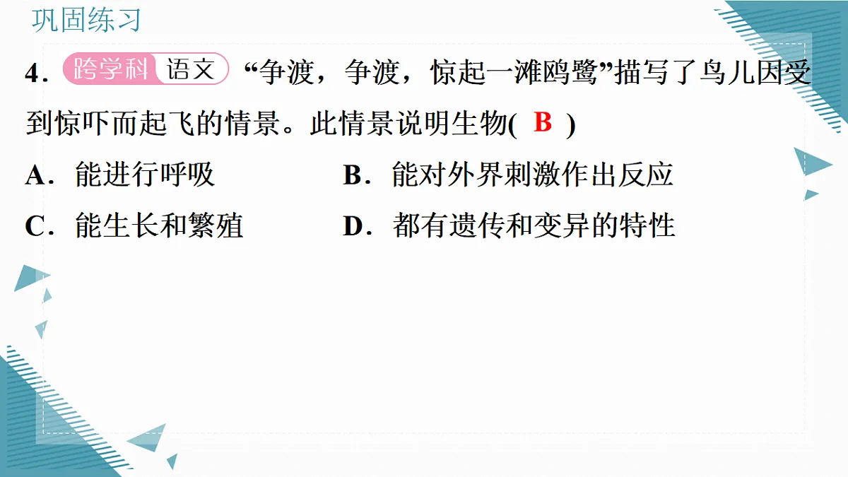 17337761第8页
