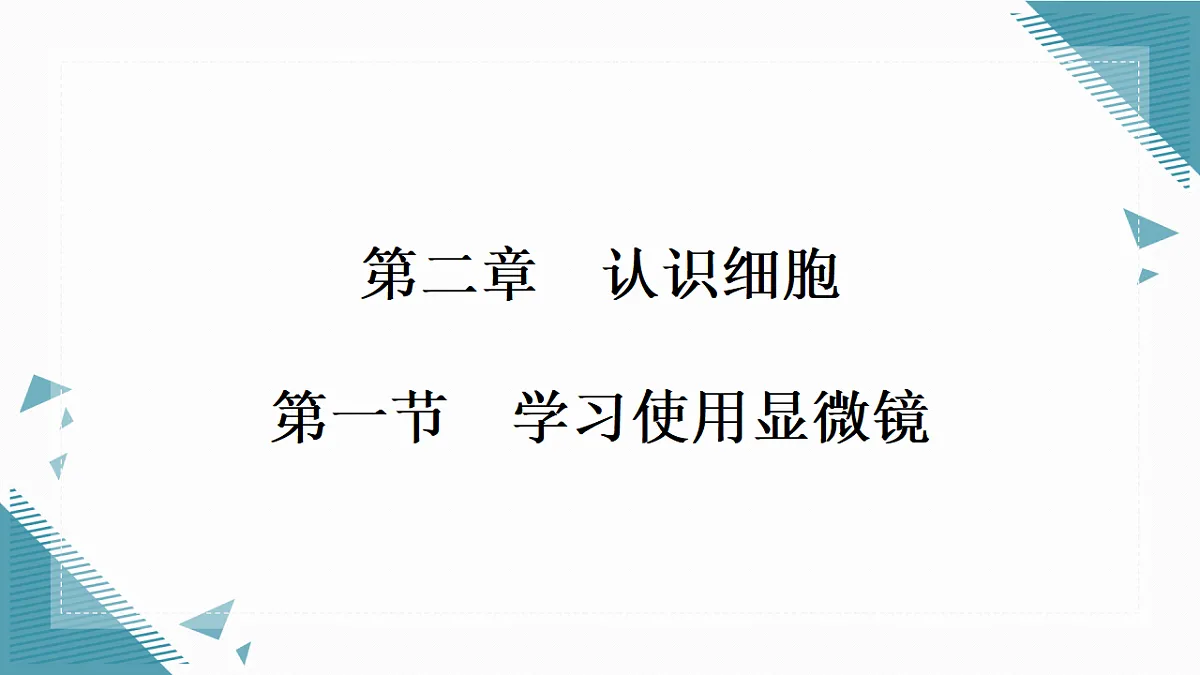 17337762第1页