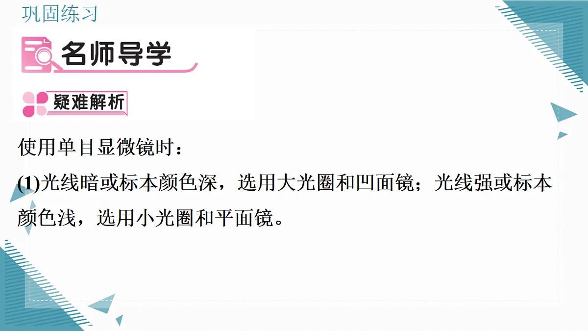 17337762第2页