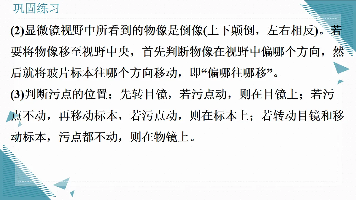 17337762第3页