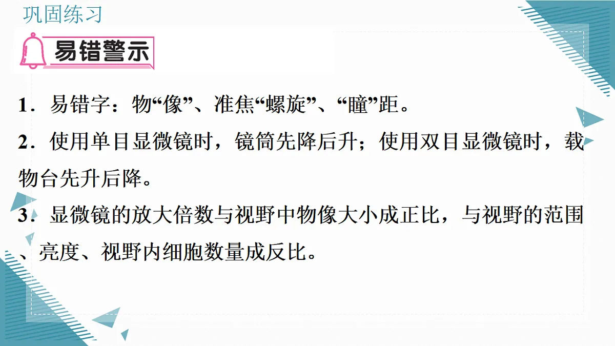 17337762第4页