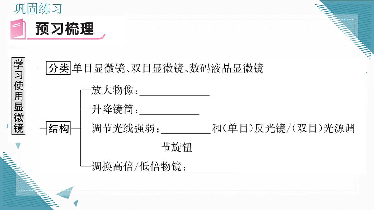 17337762第5页