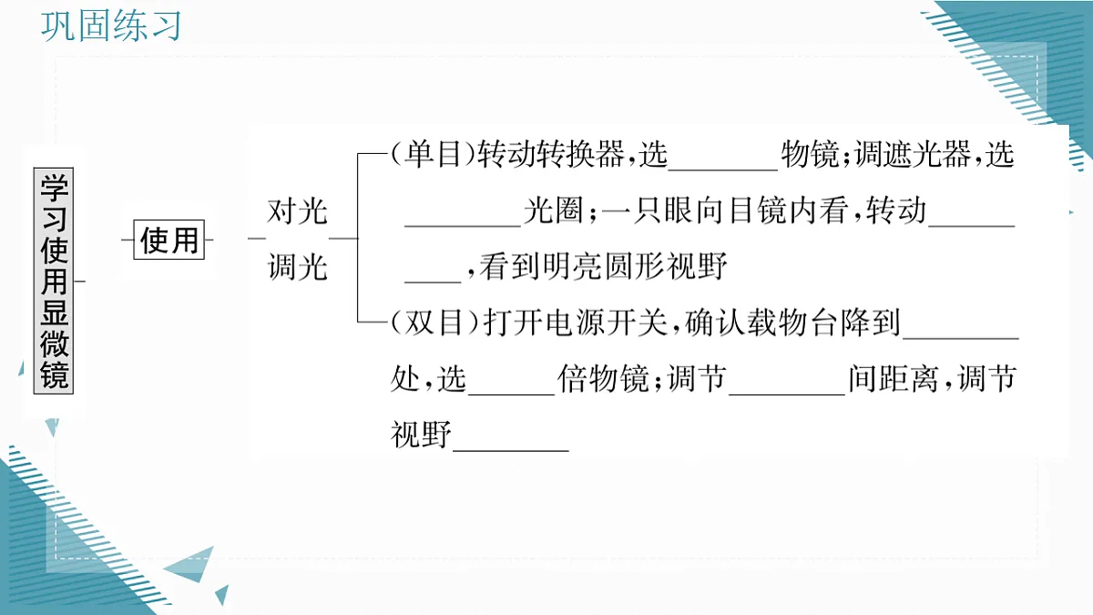17337762第6页