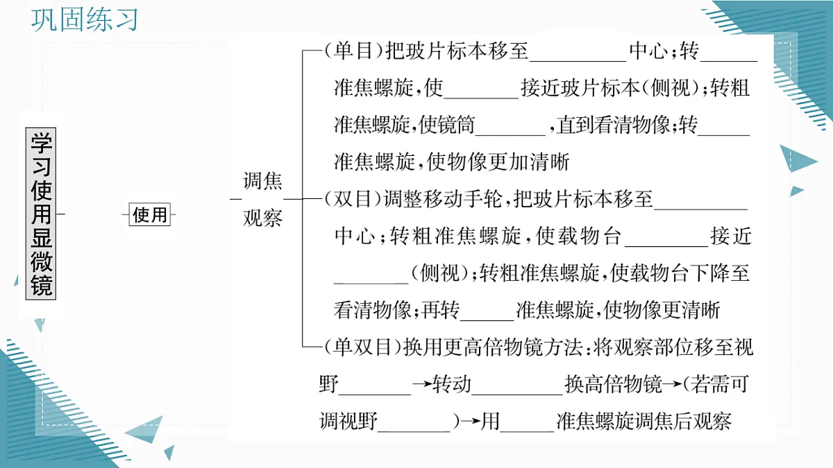 17337762第7页