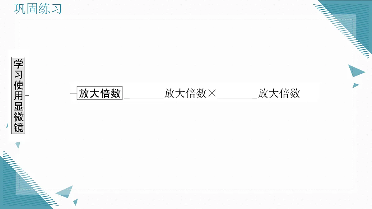 17337762第8页