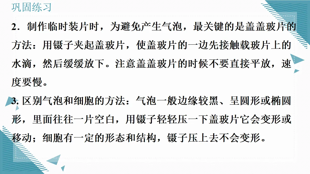 17337763第3页